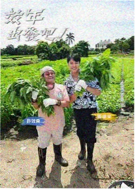 音乐类综艺节目